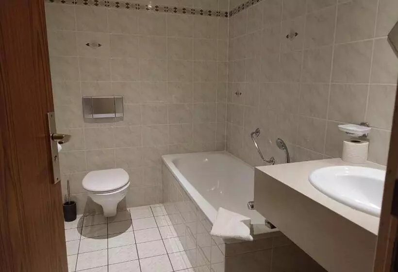 هتل Hôtel Au Lion