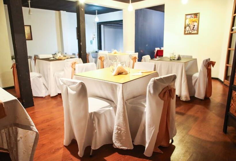 فندق Plaza Londres