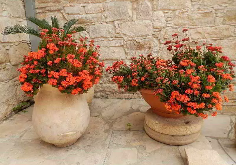 Hotel Rural Niki S House