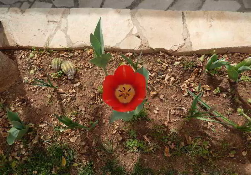 Hotel Rural Niki S House