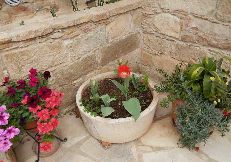 هتل روستایی Niki S House