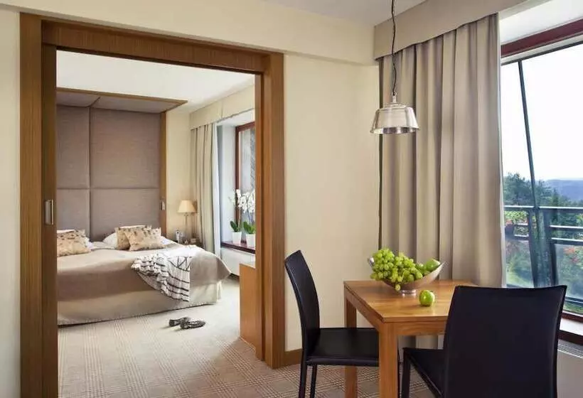 호텔 Spa Dr Irena Eris Krynica Zdrój