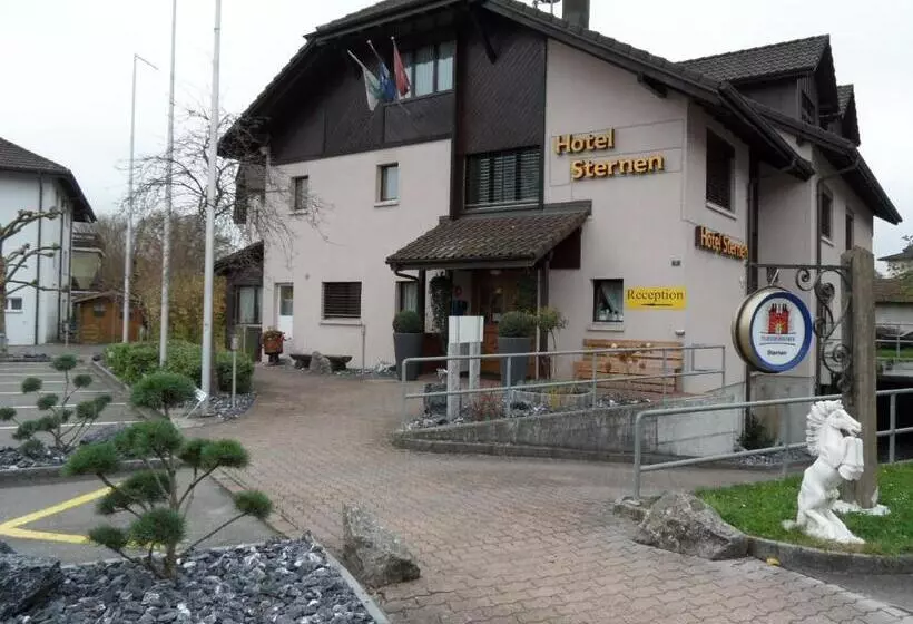 בית מלון כפרי Sternen