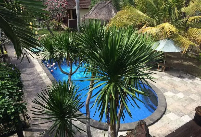 酒店 Bona Village Inn