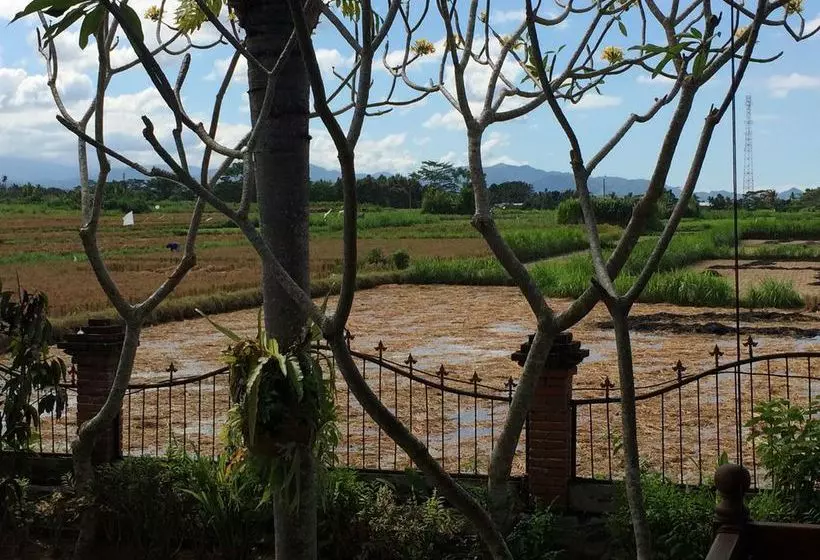 酒店 Bona Village Inn