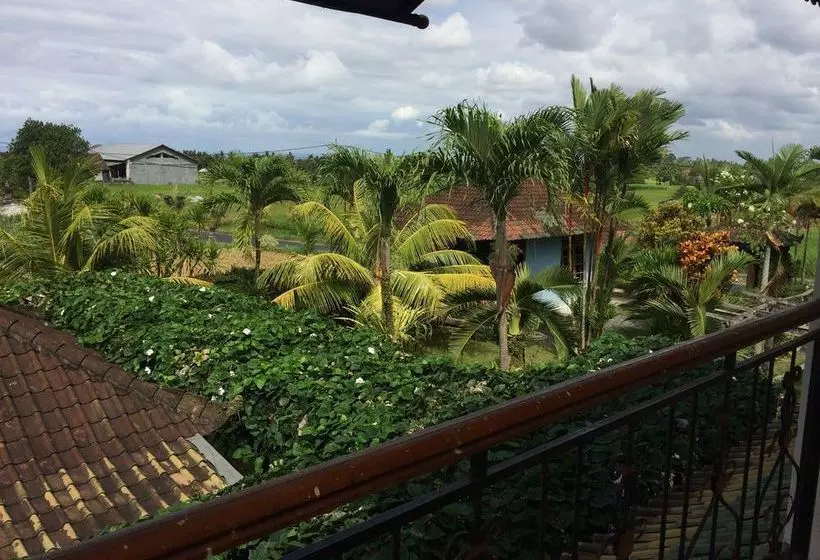 酒店 Bona Village Inn