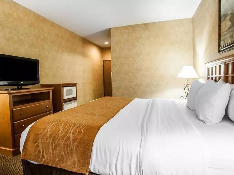 ホテル Comfort Inn