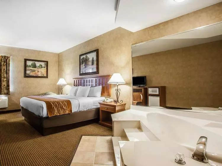 ホテル Comfort Inn