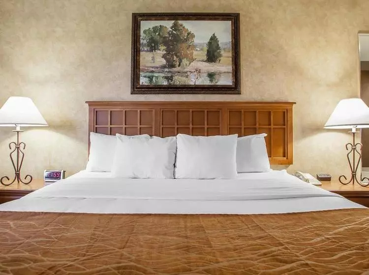 ホテル Comfort Inn