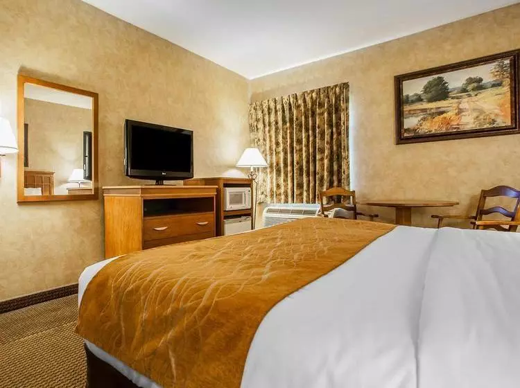 ホテル Comfort Inn