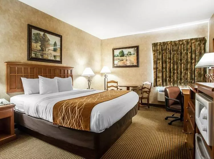 ホテル Comfort Inn