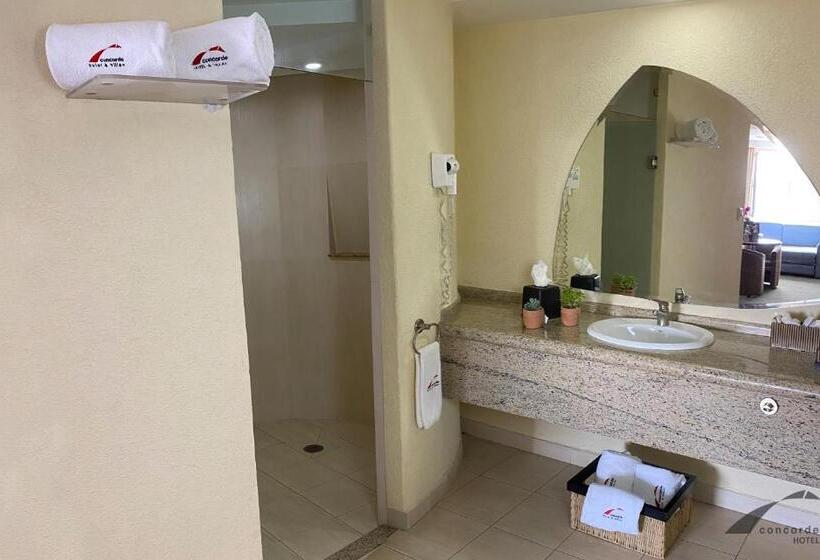 فندق Concorde Toluca