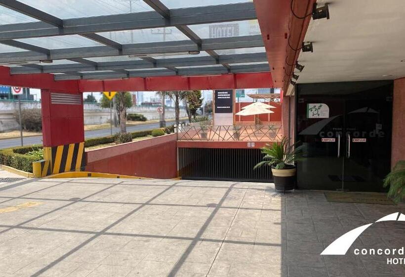 فندق Concorde Toluca