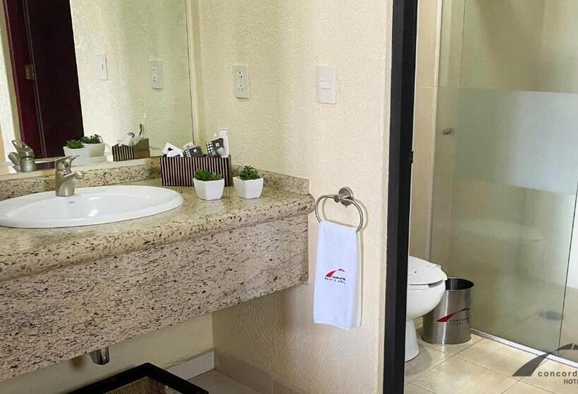 فندق Concorde Toluca