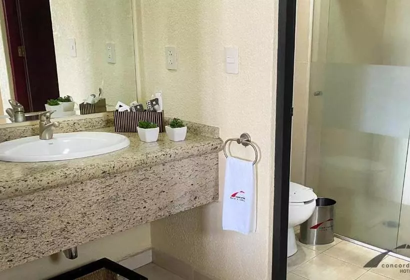 فندق Concorde Toluca