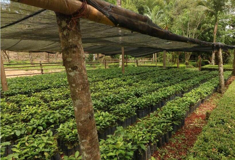 Szálloda Mision Los Cocuyos Alta Montana