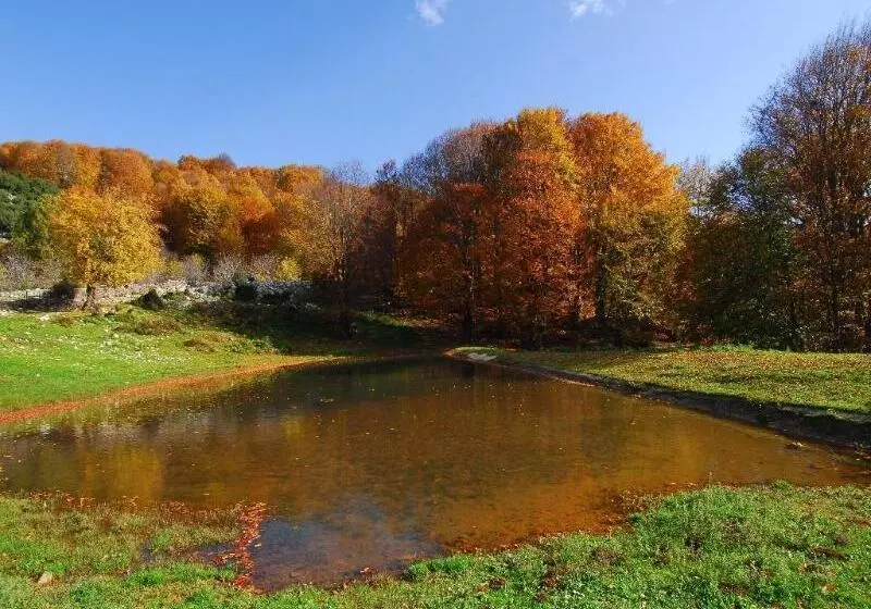 ホテル Palio Eleotrivio Guesthouse
