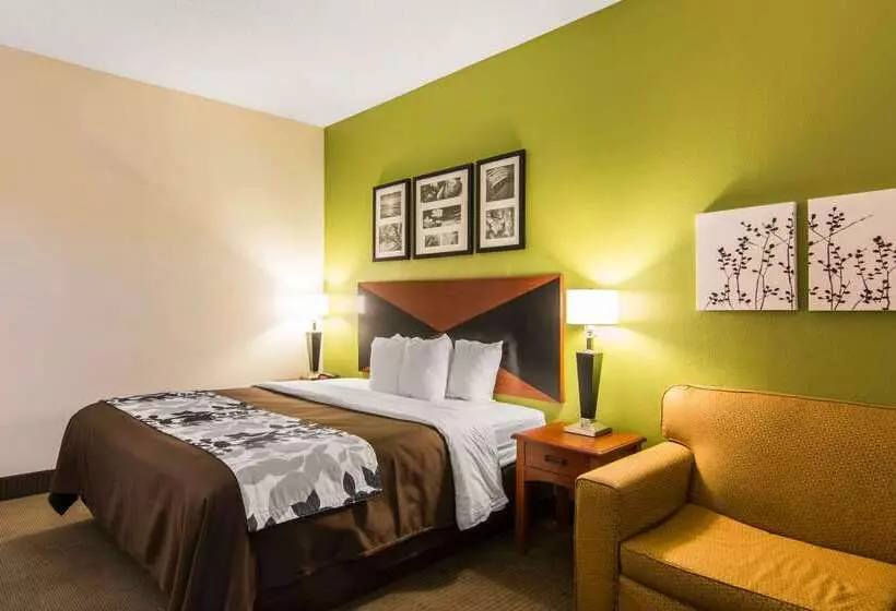 호텔 Sleep Inn & Suites Near Fort Greggadams