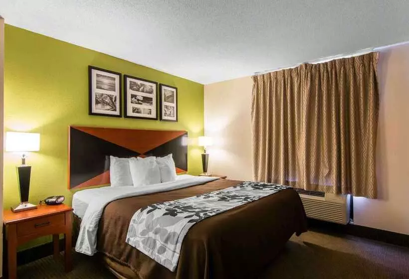 호텔 Sleep Inn & Suites Near Fort Greggadams