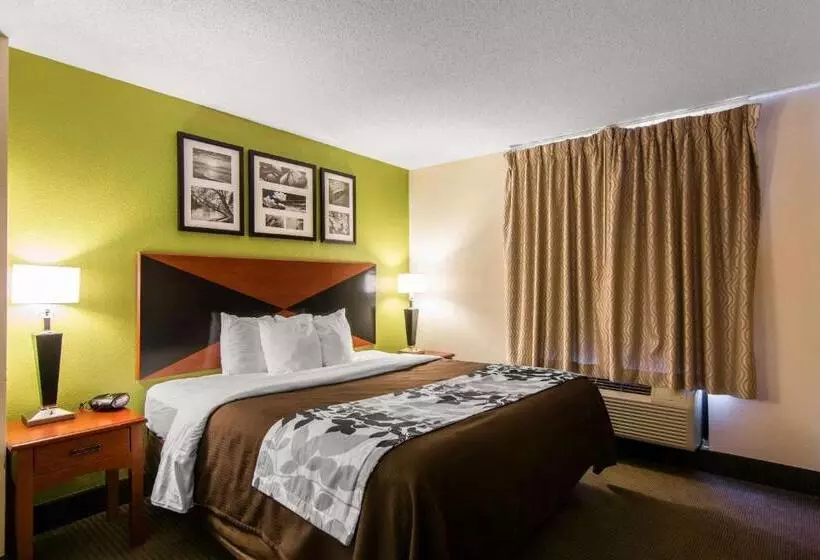호텔 Sleep Inn & Suites Near Fort Greggadams