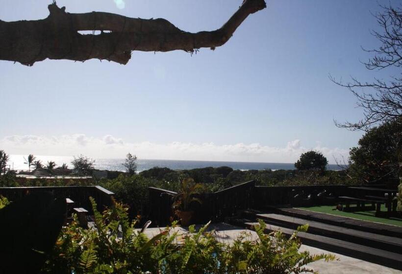 Planet Scuba Bed And Breakfast