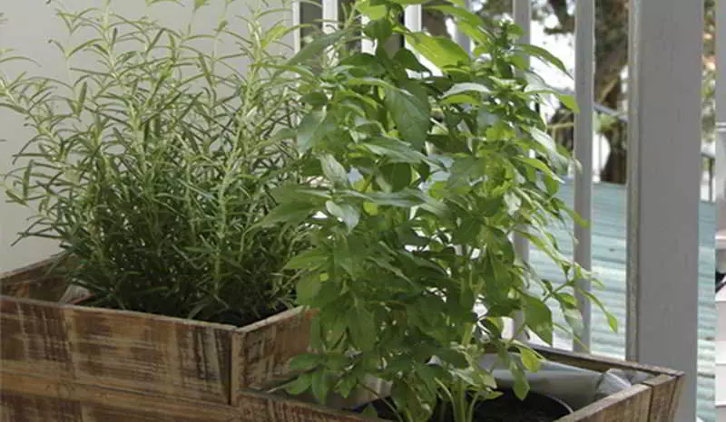 Bonbon Luxury Studio