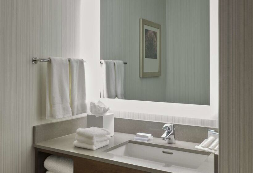 Отель Hilton Garden Inn Long Island City New York