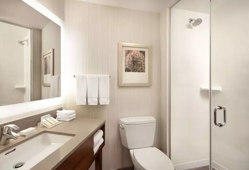 酒店 Hilton Garden Inn Long Island City New York