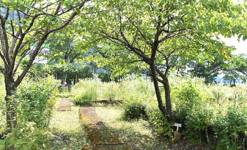 בית מלון כפרי Koryu