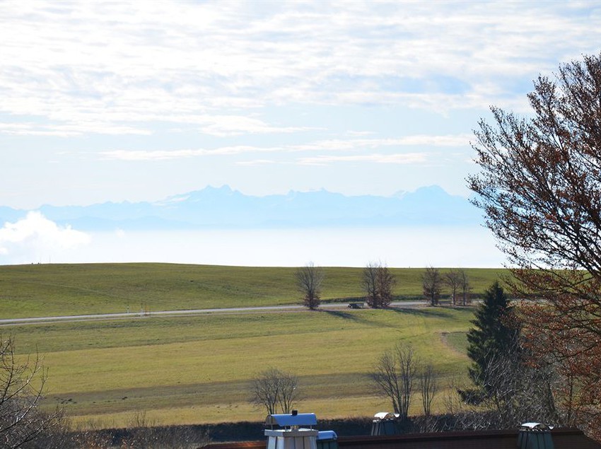 호텔 Princess Romantic