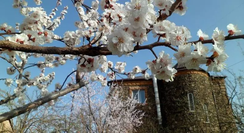 هتل روستایی Three Jugs B&b