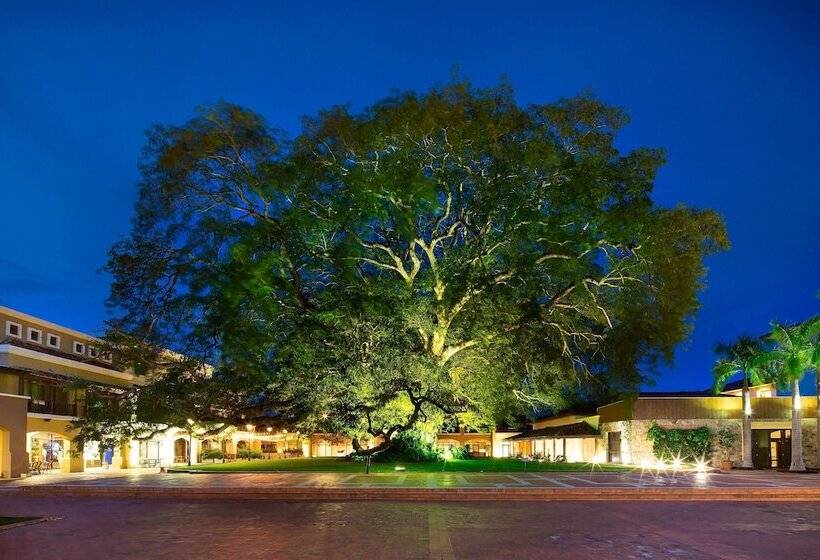 فندق The Buenaventura Golf & Beach Resort, Autograph Collection