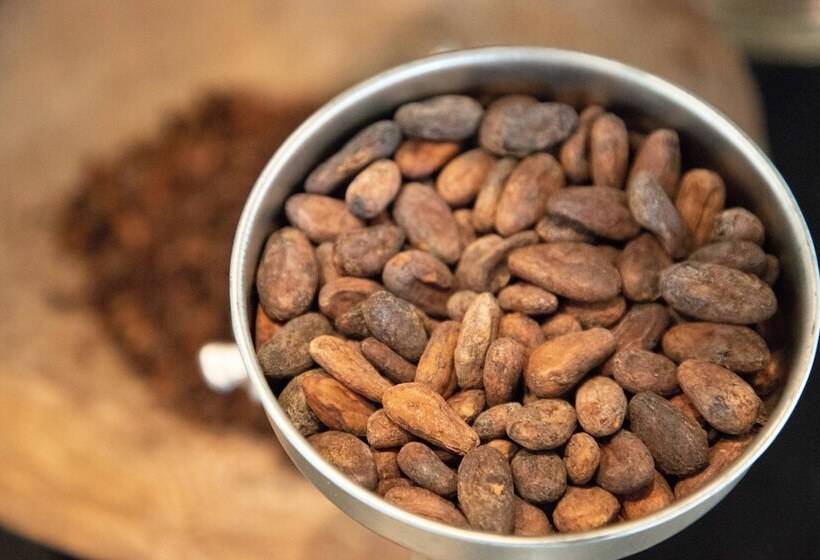 فندق The Buenaventura Golf & Beach Resort, Autograph Collection