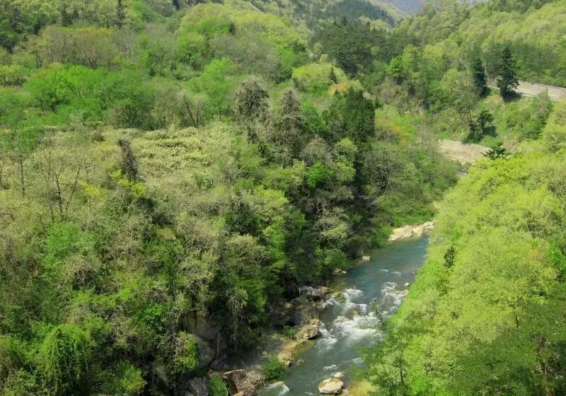 Отель Yoshikawaya