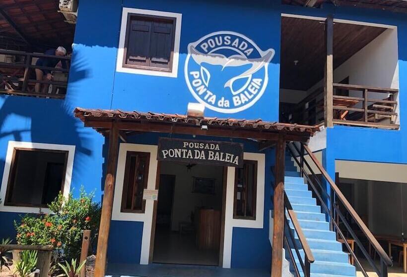 Отель Pousada Ponta Da Baleia
