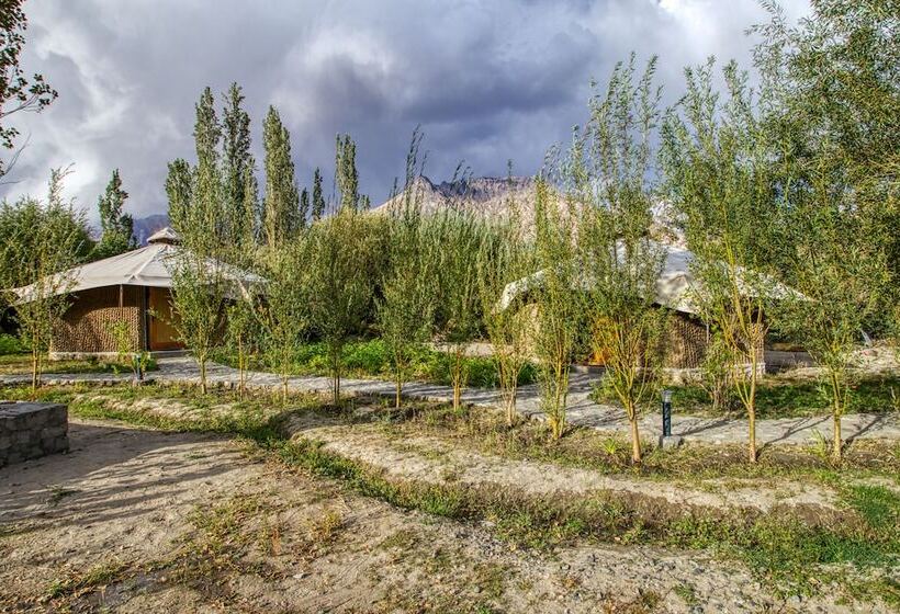 فندق Chalet Seabuckthorn