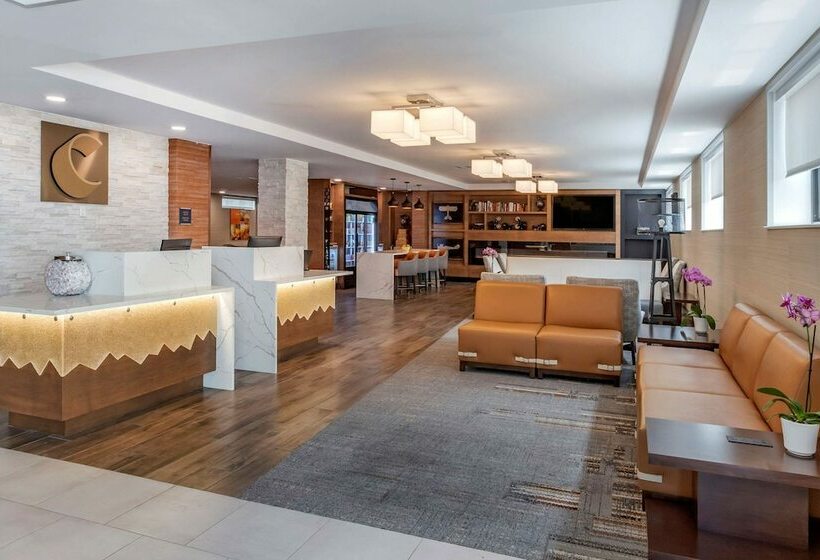 호텔 Comfort Inn Jfk Airport