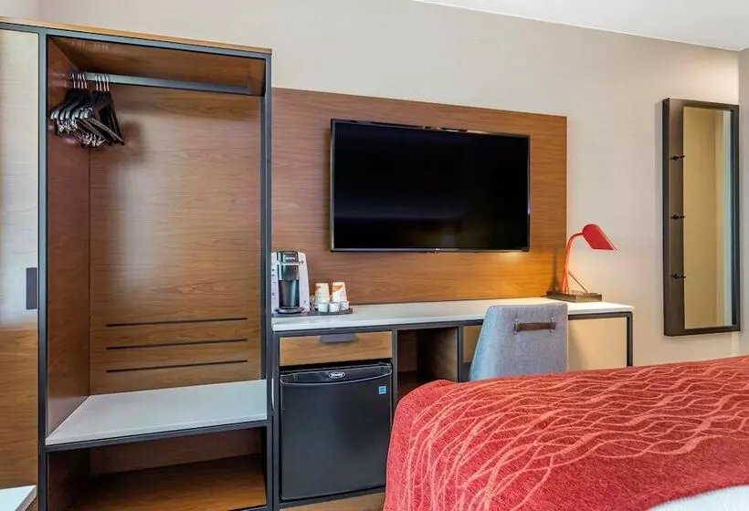 Hotelli Comfort Inn Jfk Airport