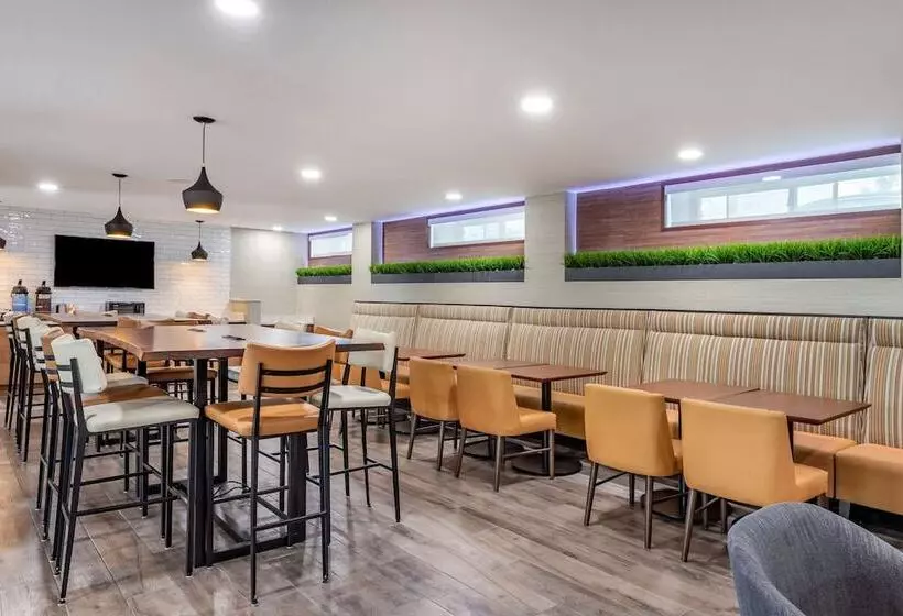 Hotelli Comfort Inn Jfk Airport