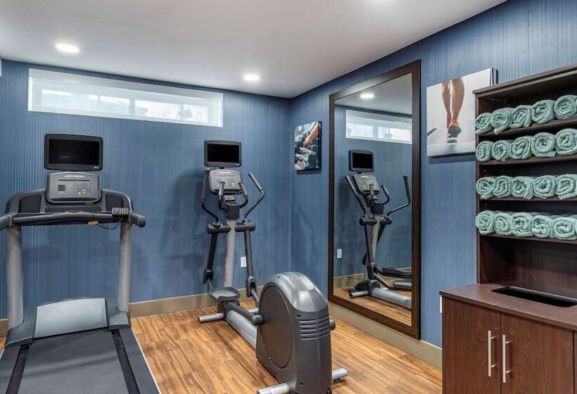 호텔 Comfort Inn Jfk Airport