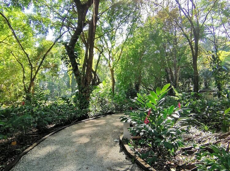 호텔 Elan At Ballena Beach