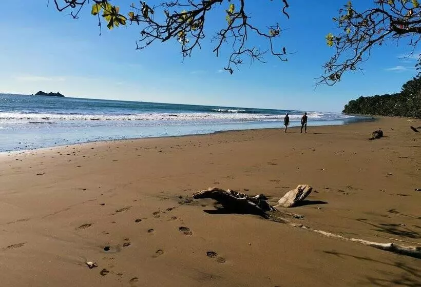 ホテル Elan At Ballena Beach