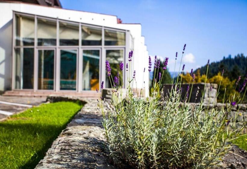 בית מלון כפרי Nat Piwniczna Zdroj