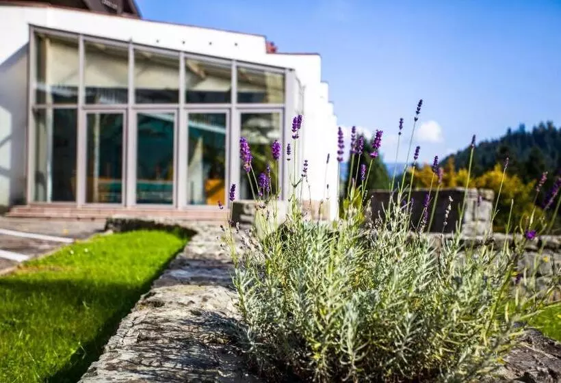 Hotelli Nat Piwniczna Zdroj