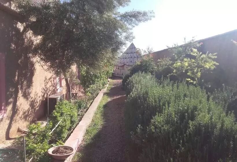 هتل Riad Roses