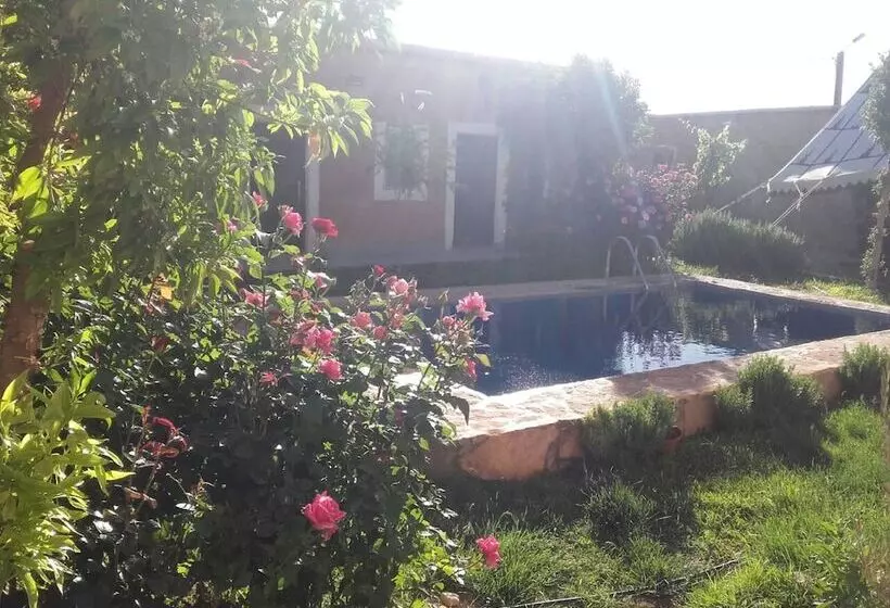 هتل Riad Roses