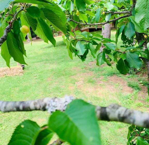 צימר L écrin Des Symes