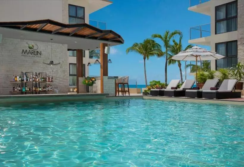 ホテル Dreams Cozumel Cape Resort & Spa