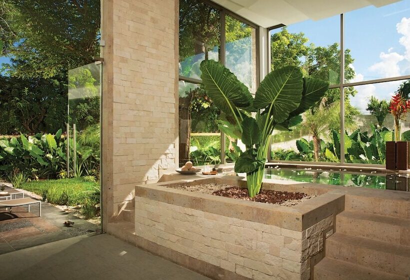 هتل Dreams Cozumel Cape Resort & Spa