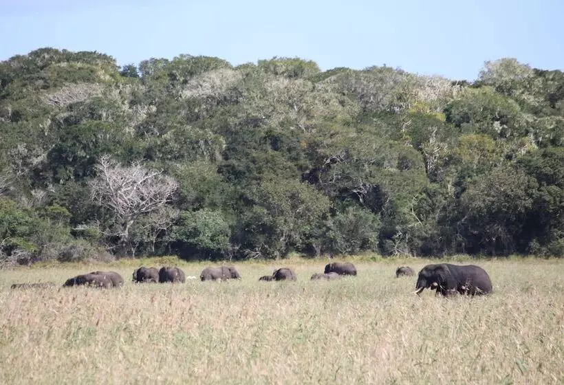 Montebelo Milibangalala Bay Resort